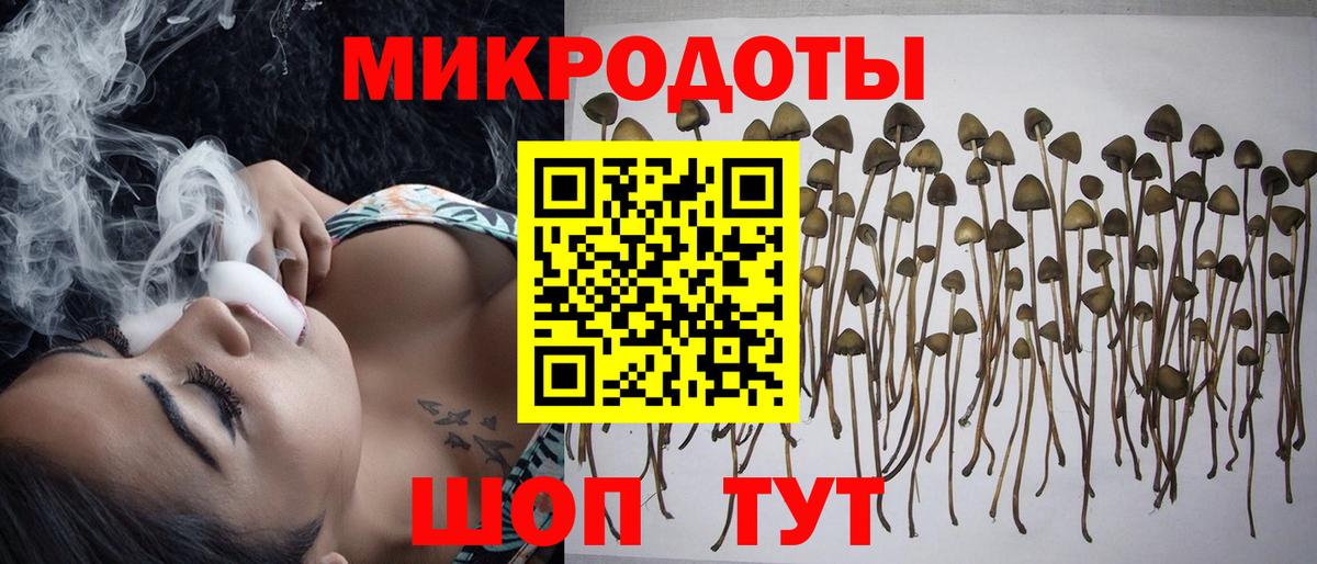 Южноуральск  Псилоцибиновые грибы мицелий  Вход с VPN 