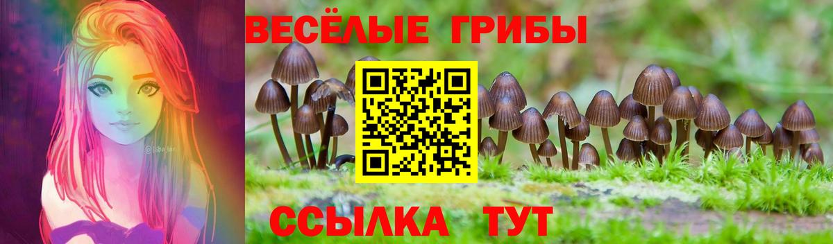 Галлюциногенные грибы прущие грибы Южноуральск